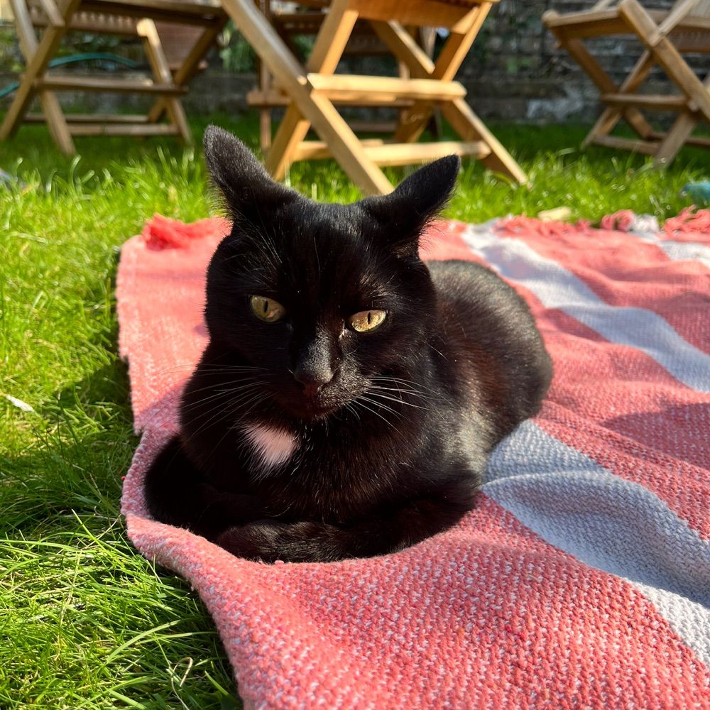 Millie