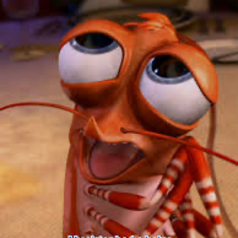 Shrimp