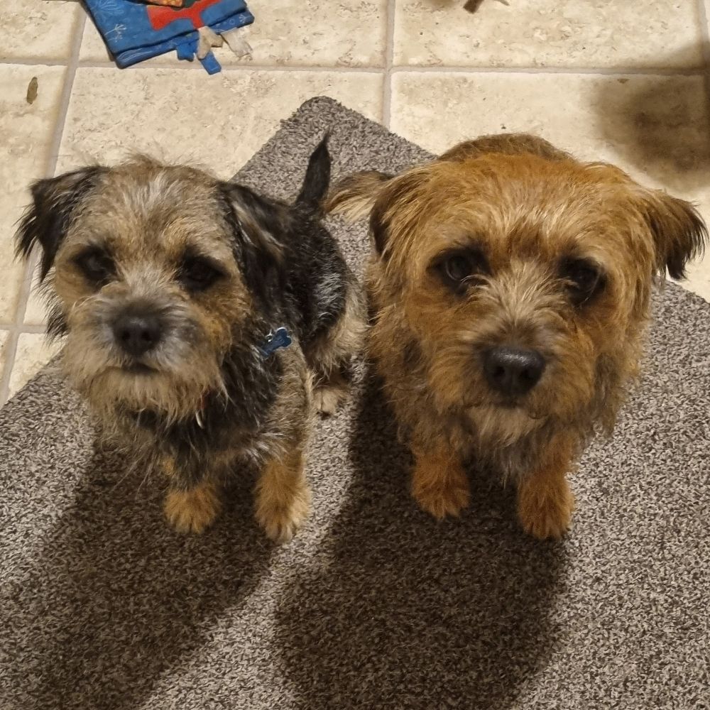 Grumpy & Trev #BTPosse