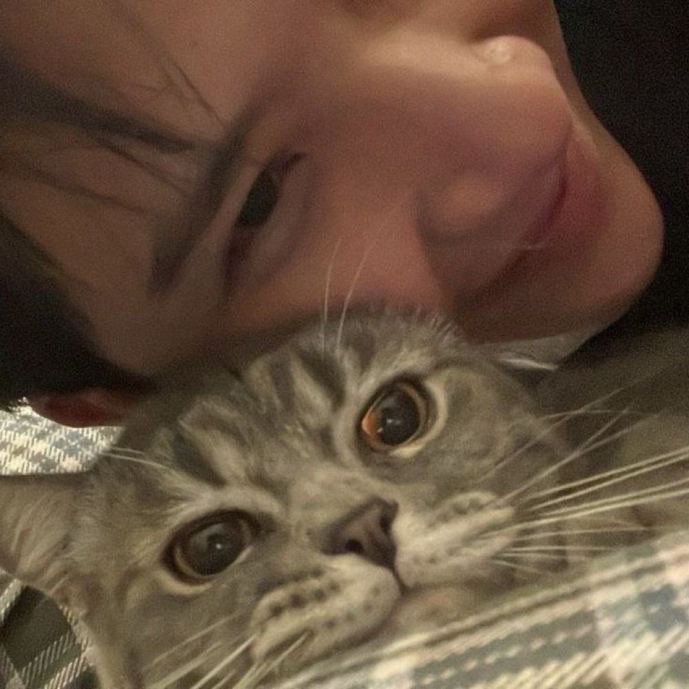 soosoo☆彡