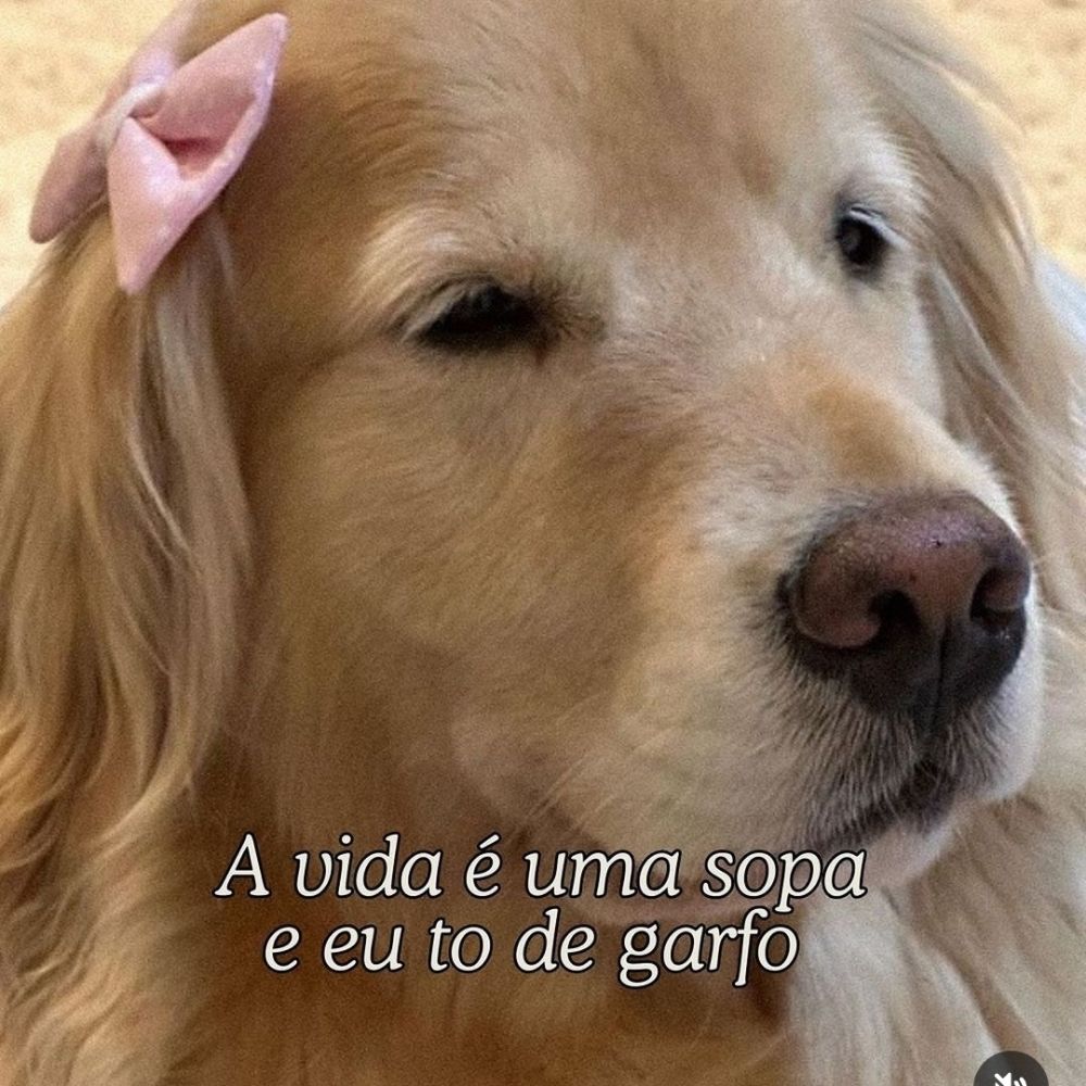 CTfroes