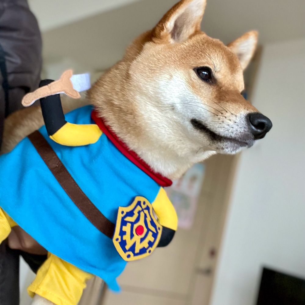 柴犬勇者むぎまる