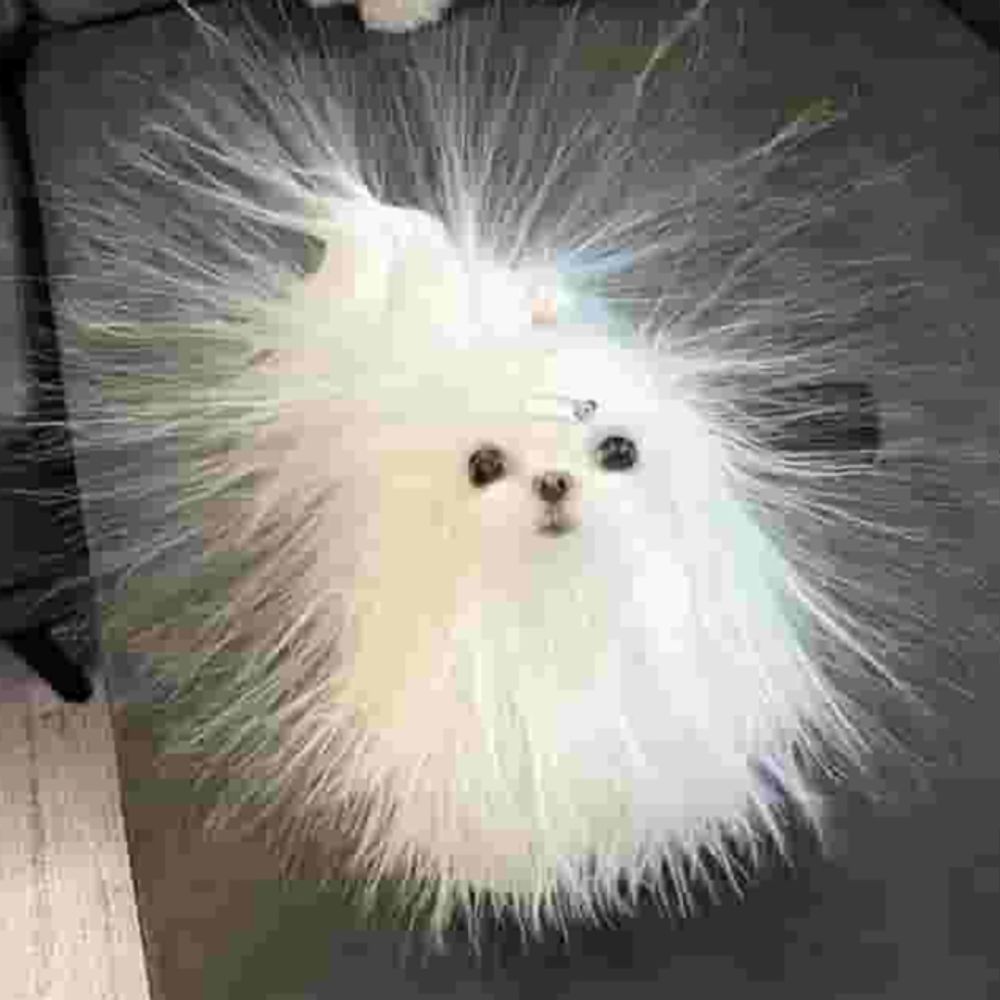 AnomalousBob