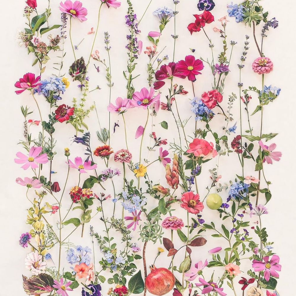 Elisabeth Dupleix 