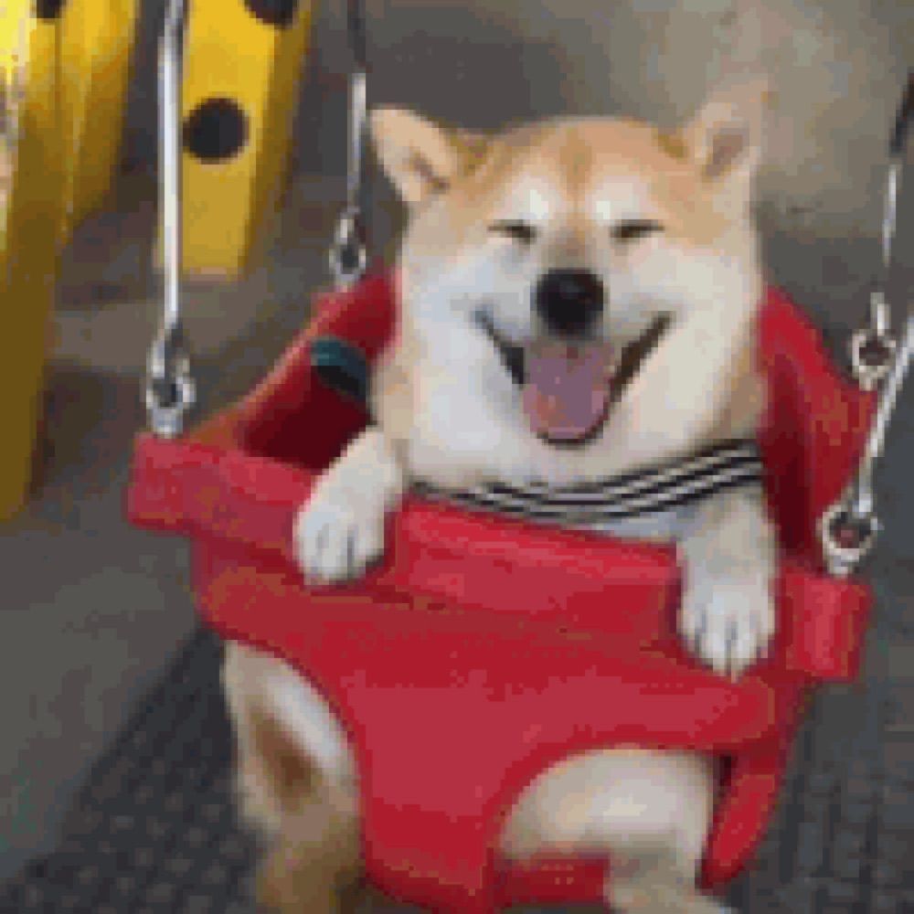 joritochip