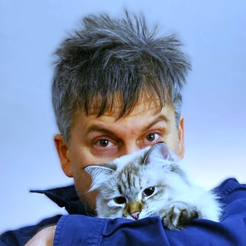 Matty Cat 🐈‍⬛'s avatar