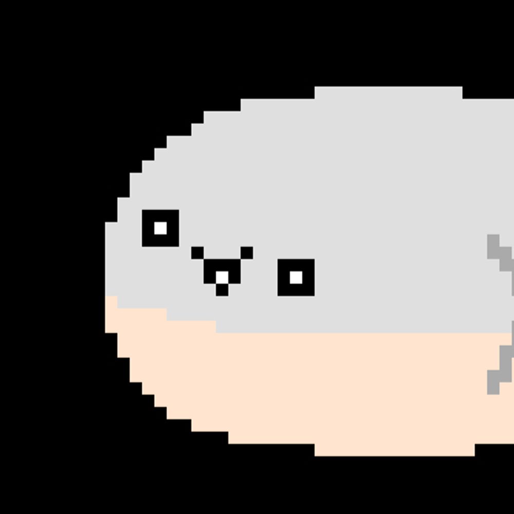 しらすのかお