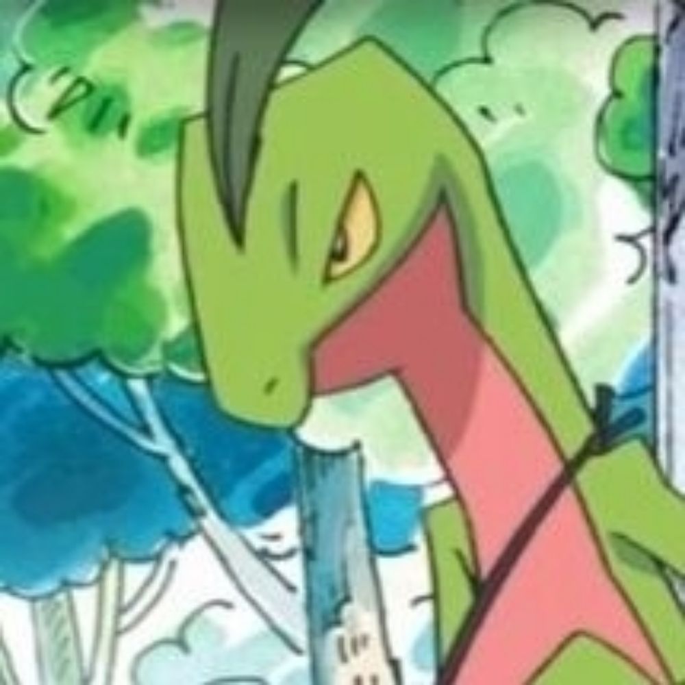 TreeckoPlays
