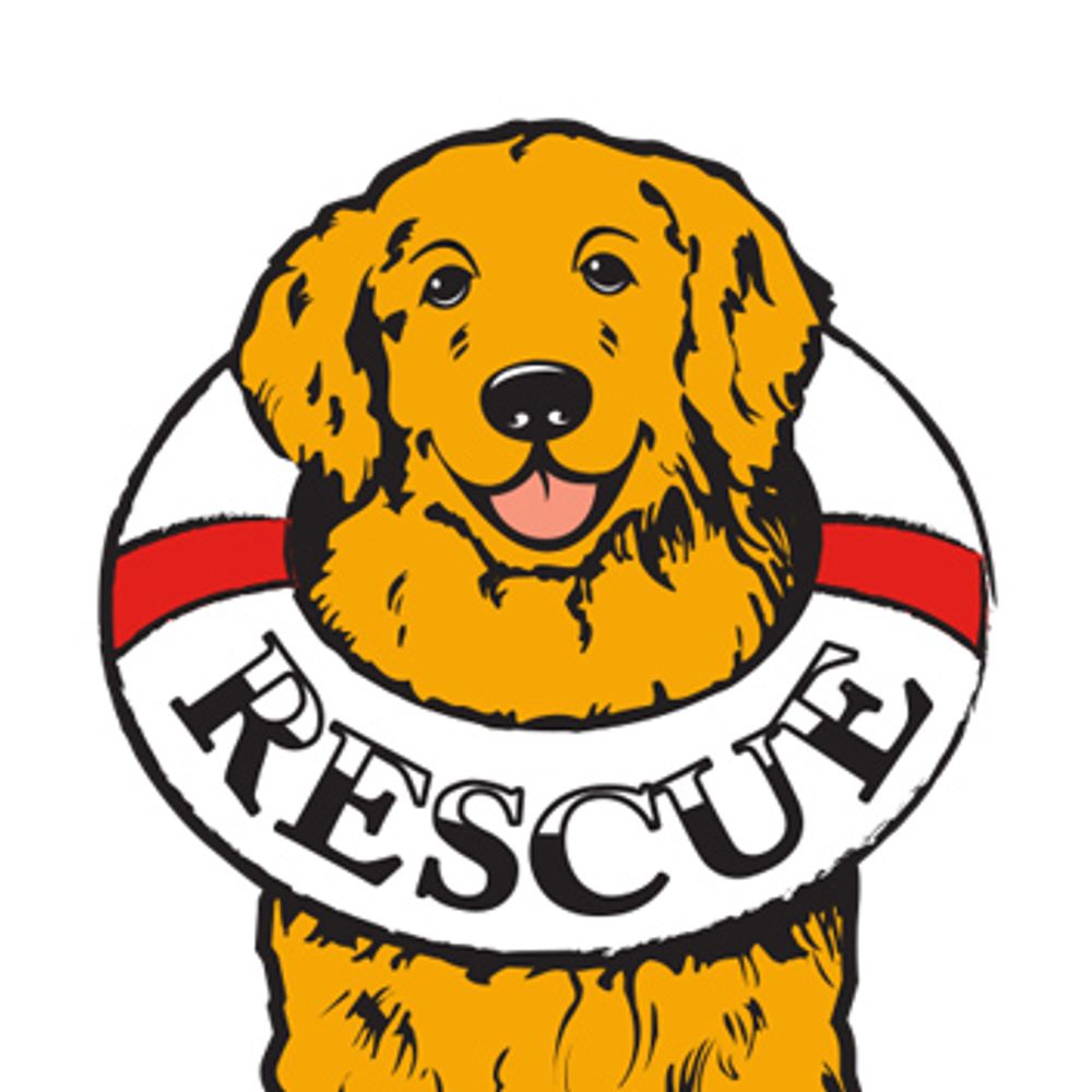 Delaware Valley Golden Retriever Rescue (DVGRR)