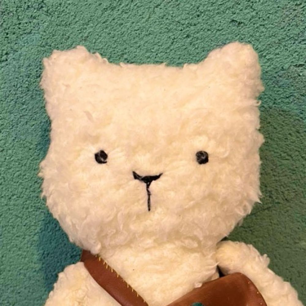 ねこ