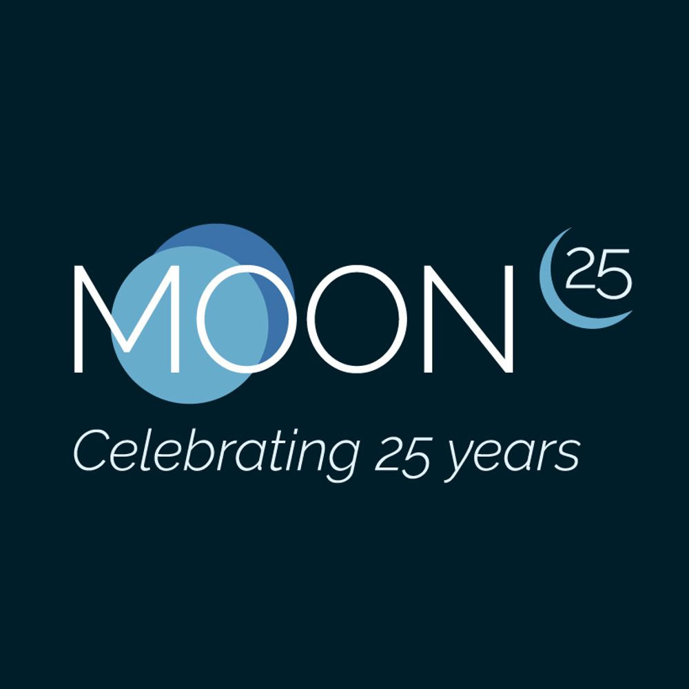 Moon Executive Search