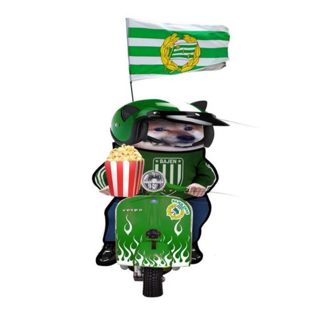 BajenFella
