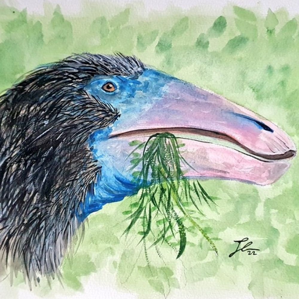ParaSpinoDocus ♠️🦕🪶