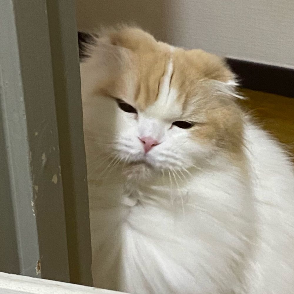みきゅ