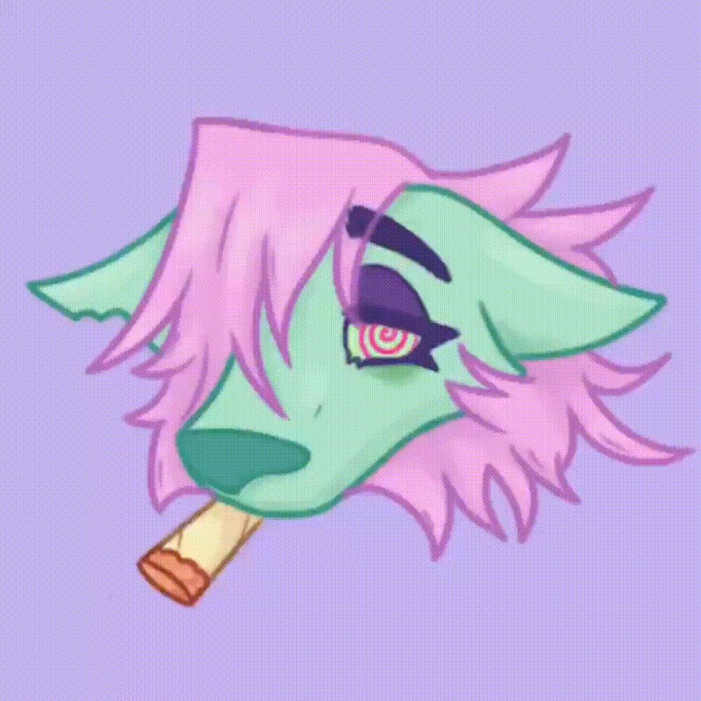 melody🦇🐈