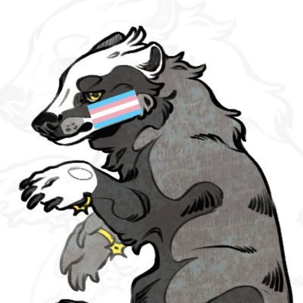 TheHomelyBadger 🦡🦡🔞