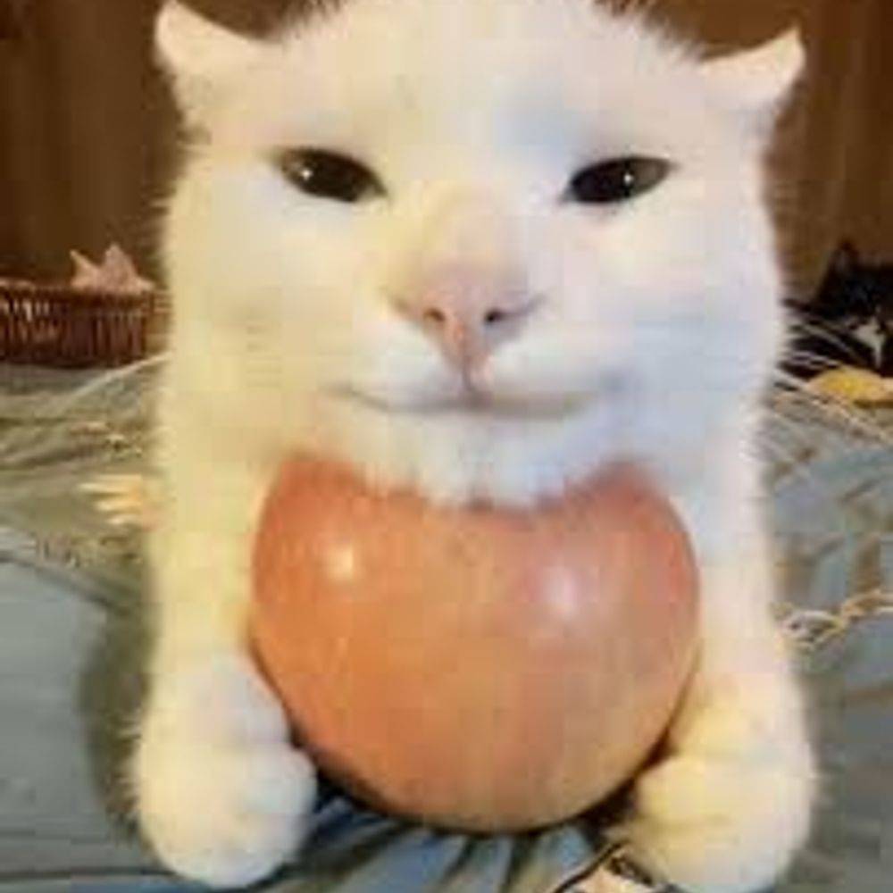 ballmo