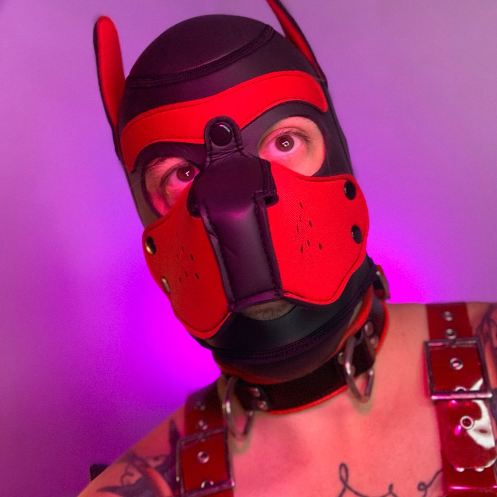 Pup Omni