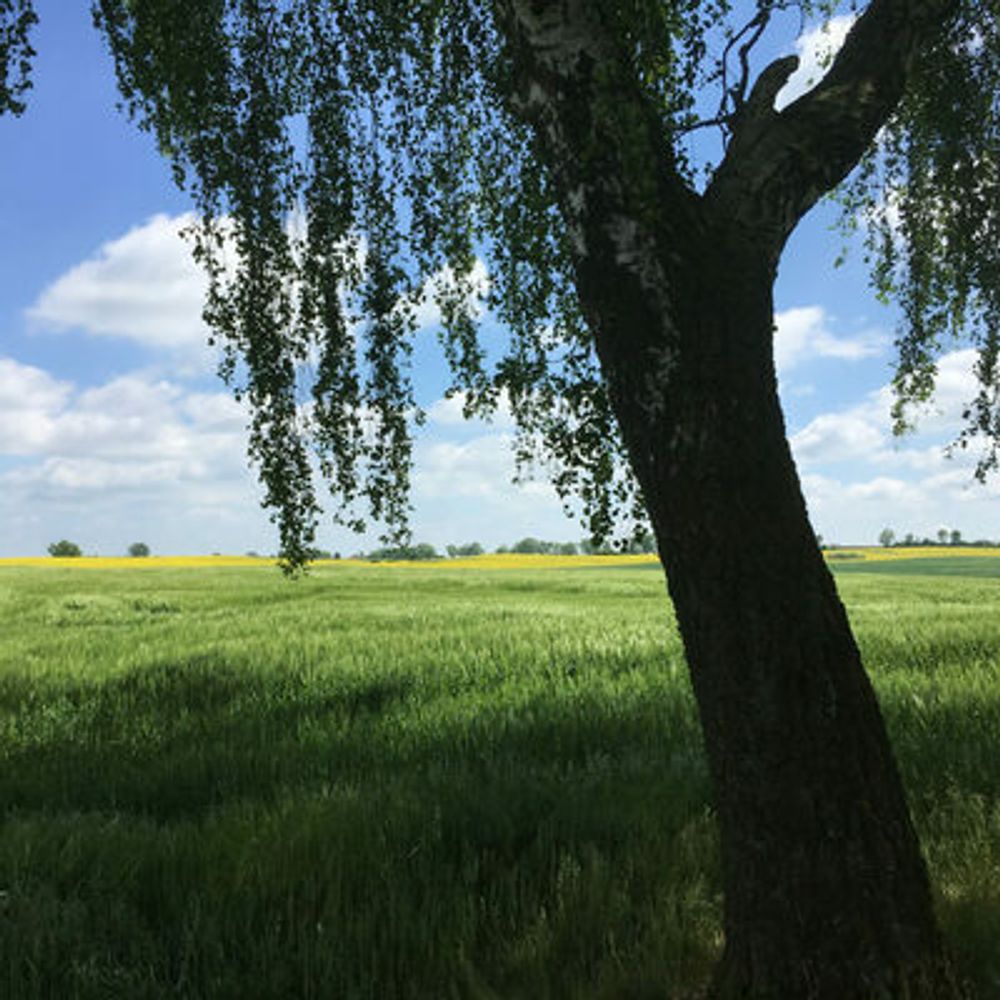 Blankensee in Mecklenburg