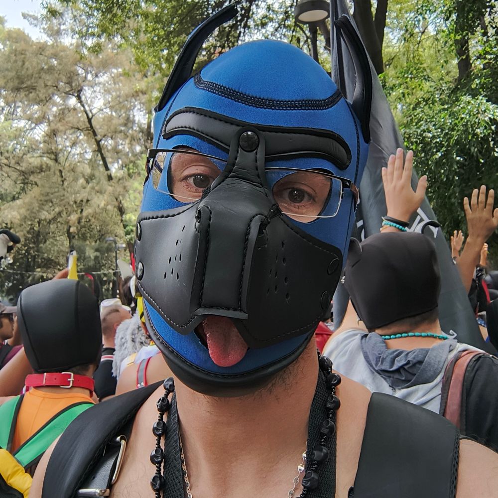T O T O 🐕🦴