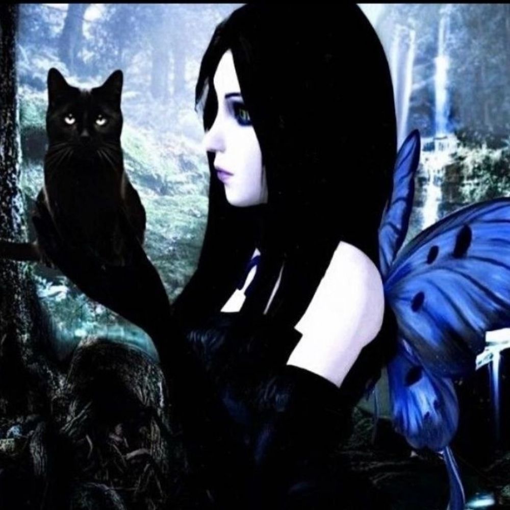 ≡☆ [🦋] 𝙰𝚒𝚌𝚒𝚝𝚎𝚕 *.˚🐈‍⬛