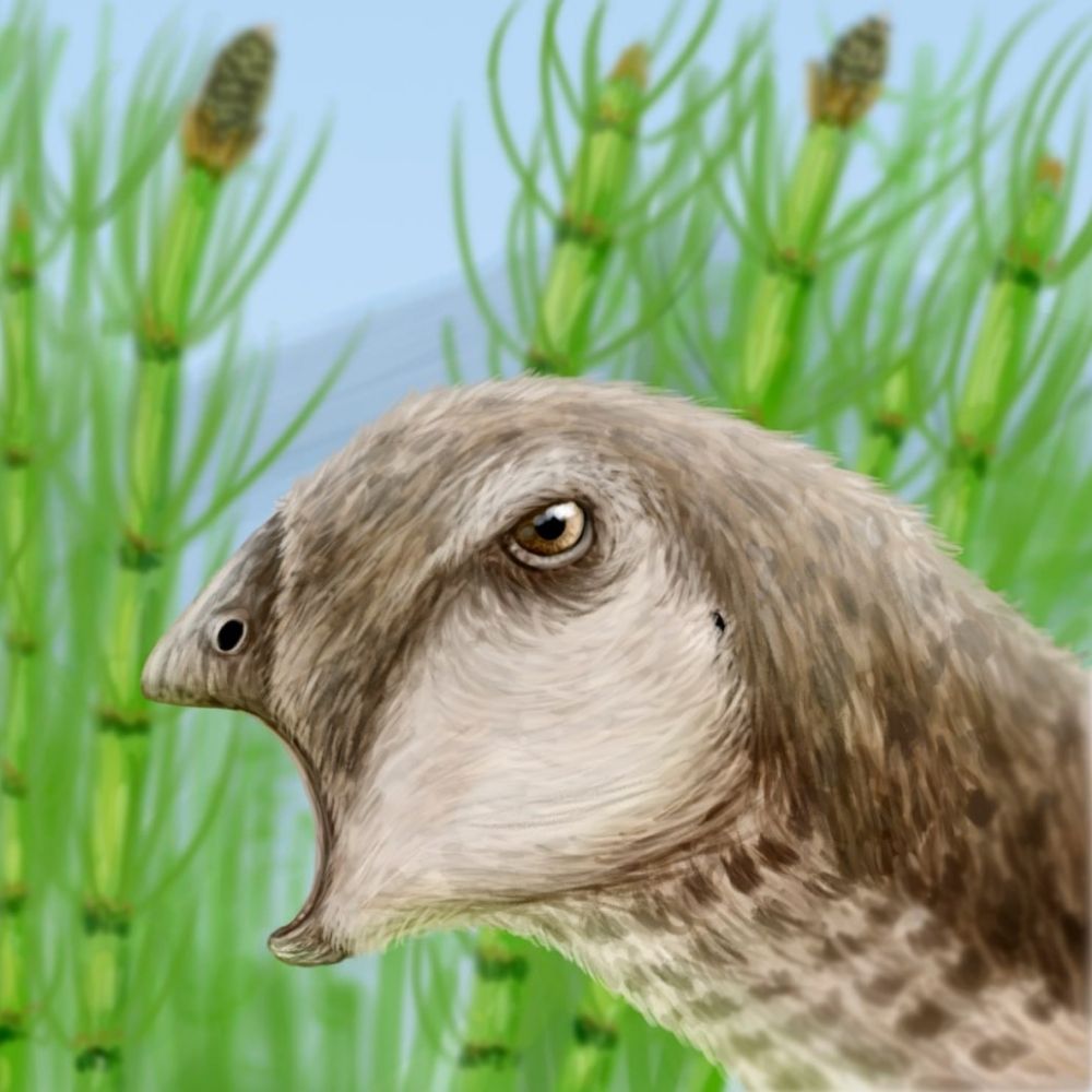 MakArts