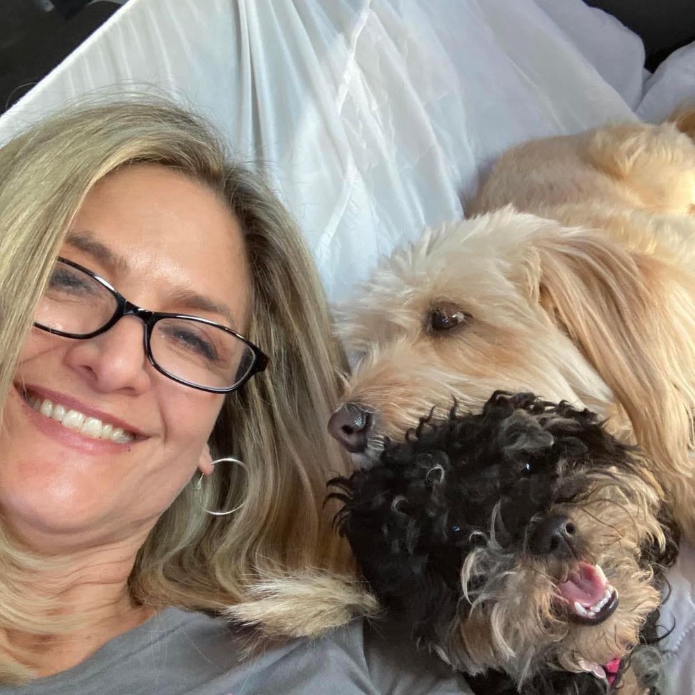 vpiccleton.bsky.social