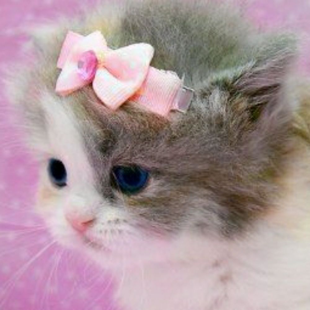 Flufferino 