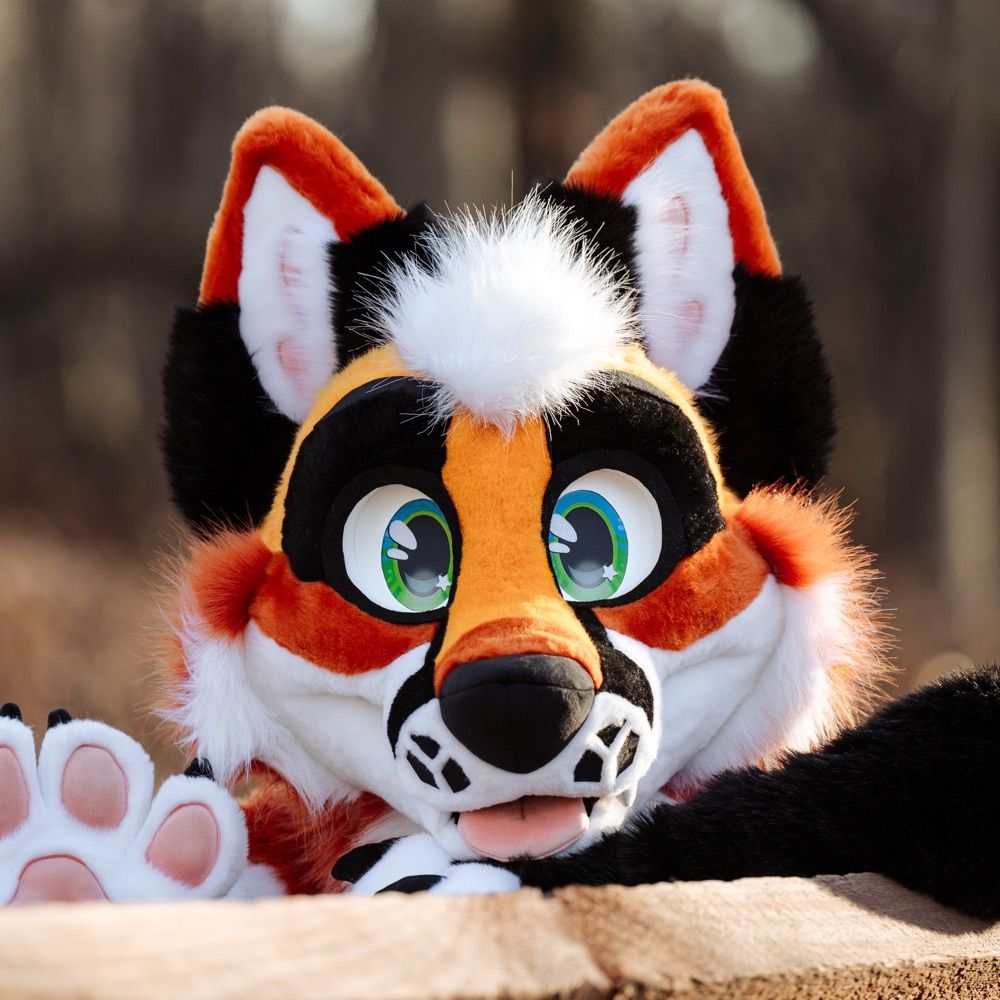Fox Pupy 🦊🧡