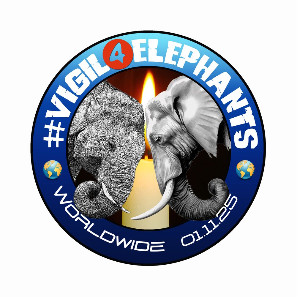 Vigil4Elephants