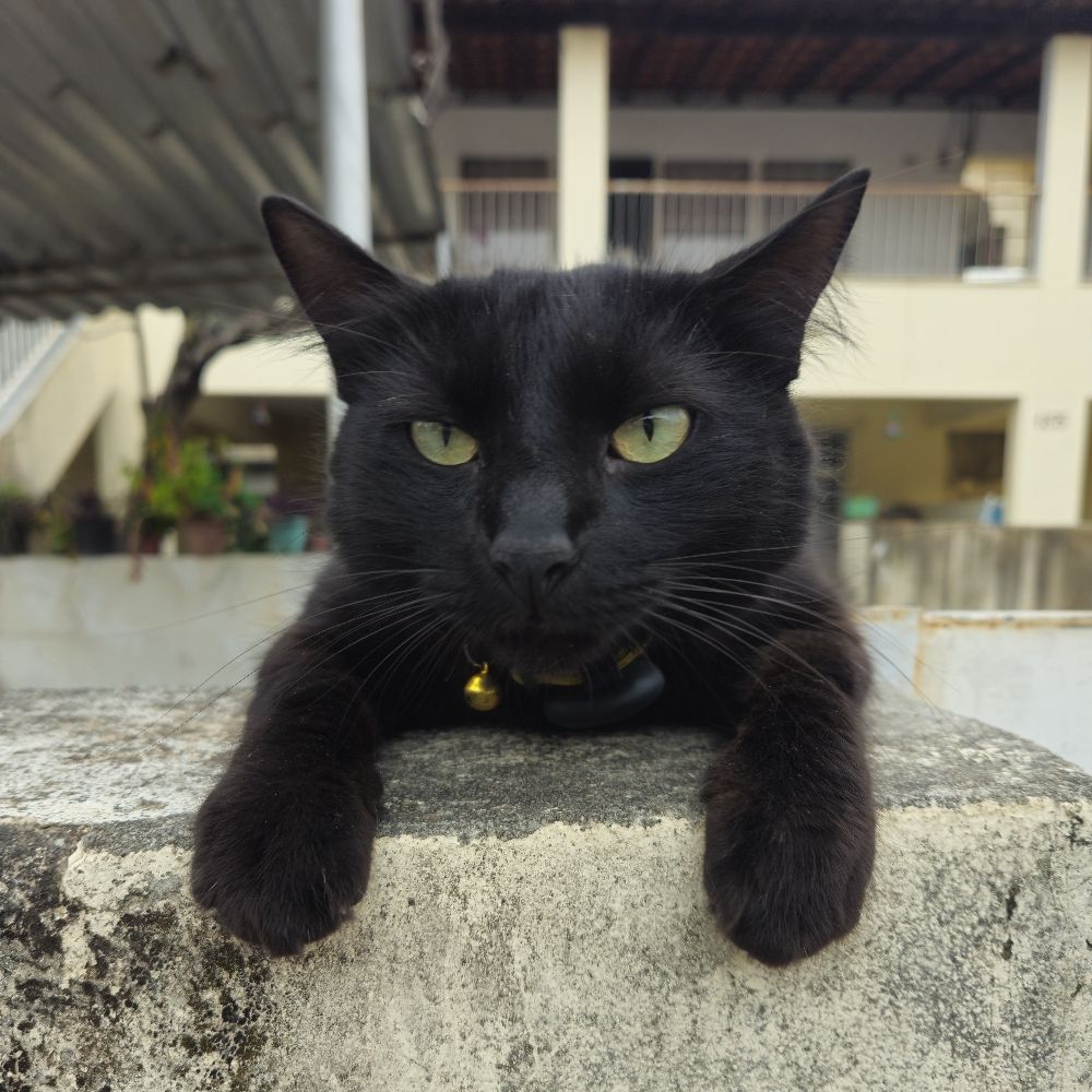 gustavolive.bsky.social