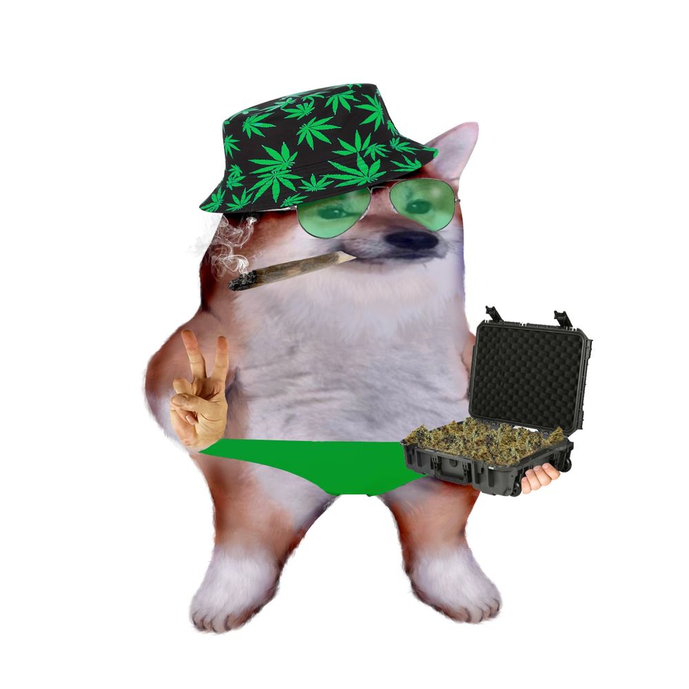 Plumpsklo #TheStonedNafoFella 🇺🇦