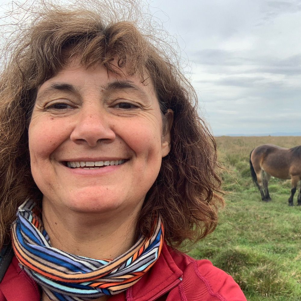 Cllr Lisa Stone