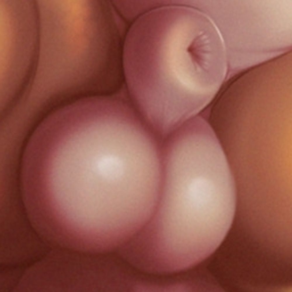 cyrilltyphlosion.bsky.social