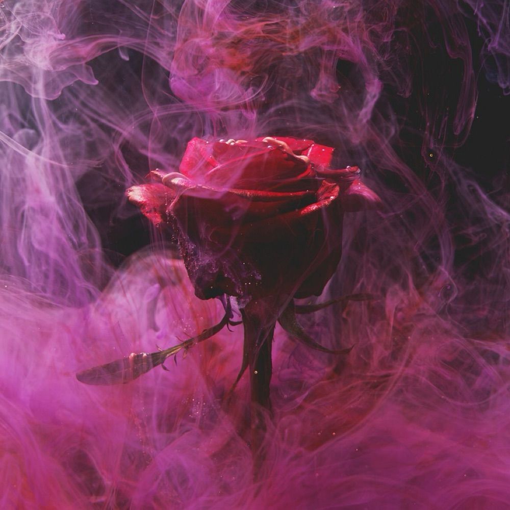 Rosey