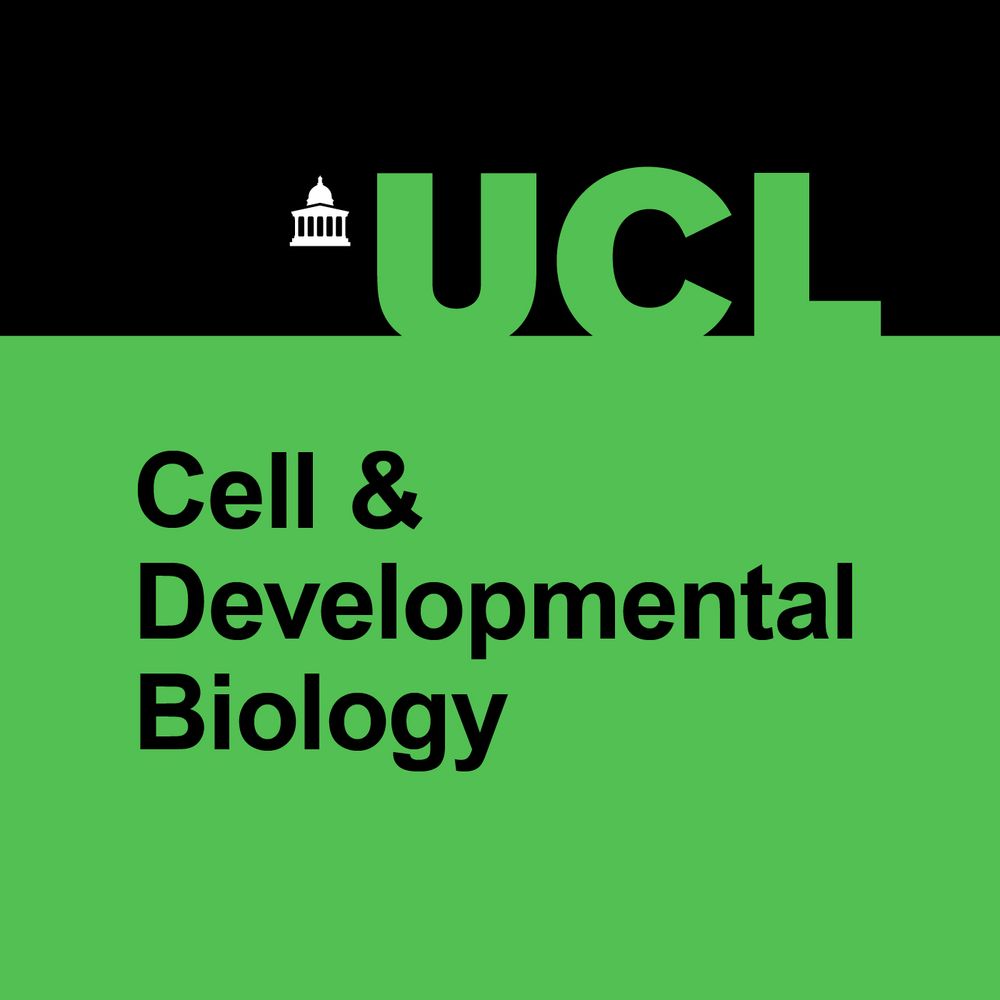 UCL Research Department of Cell & Developmental Biology