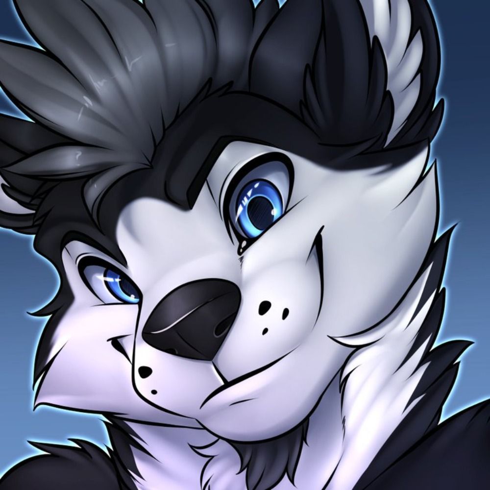 HuskyWolfeh
