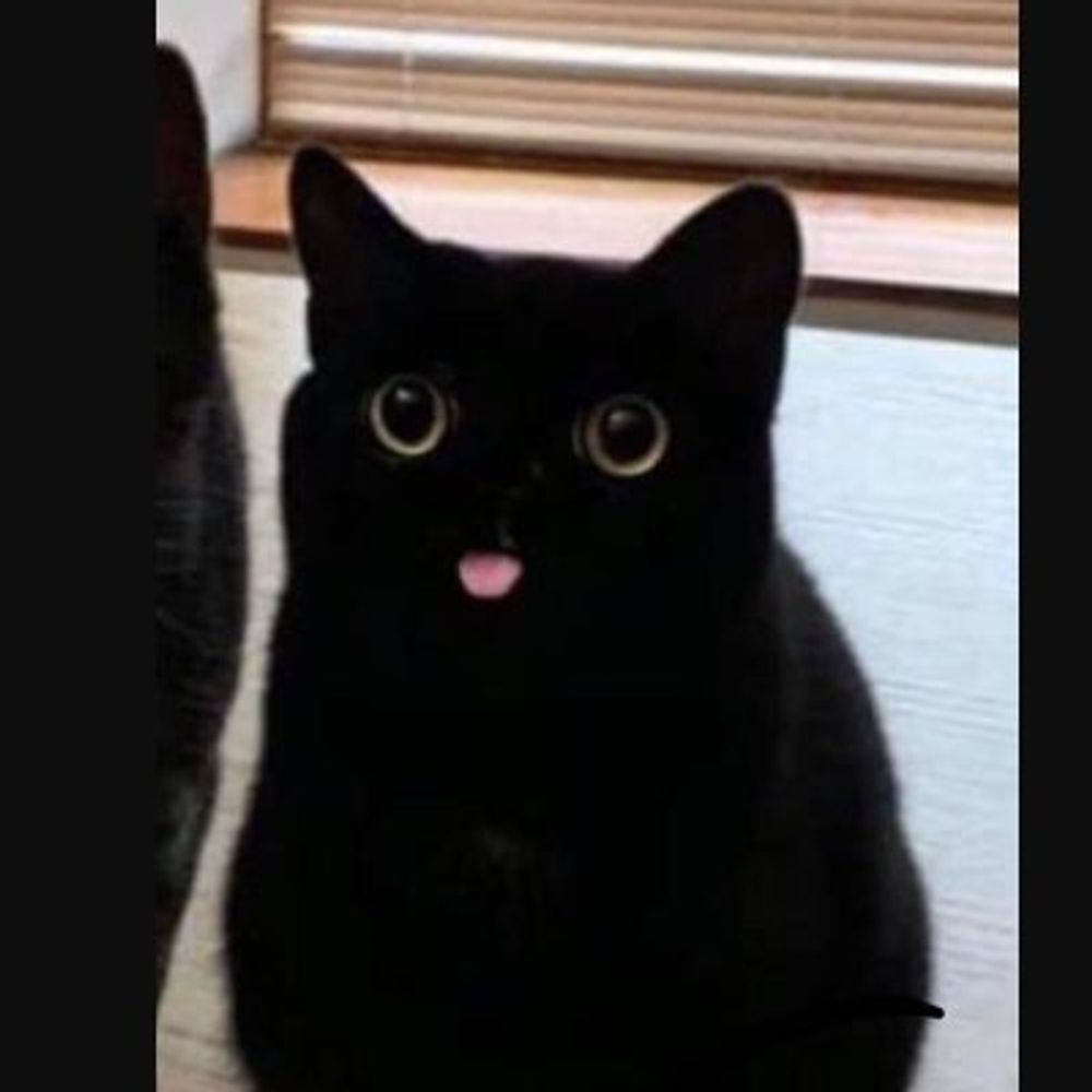 Mia Ooo