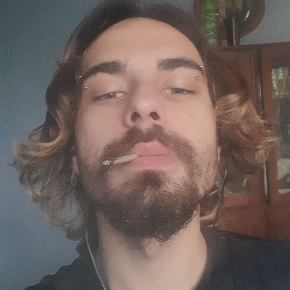 Salgueiro ama ayu
