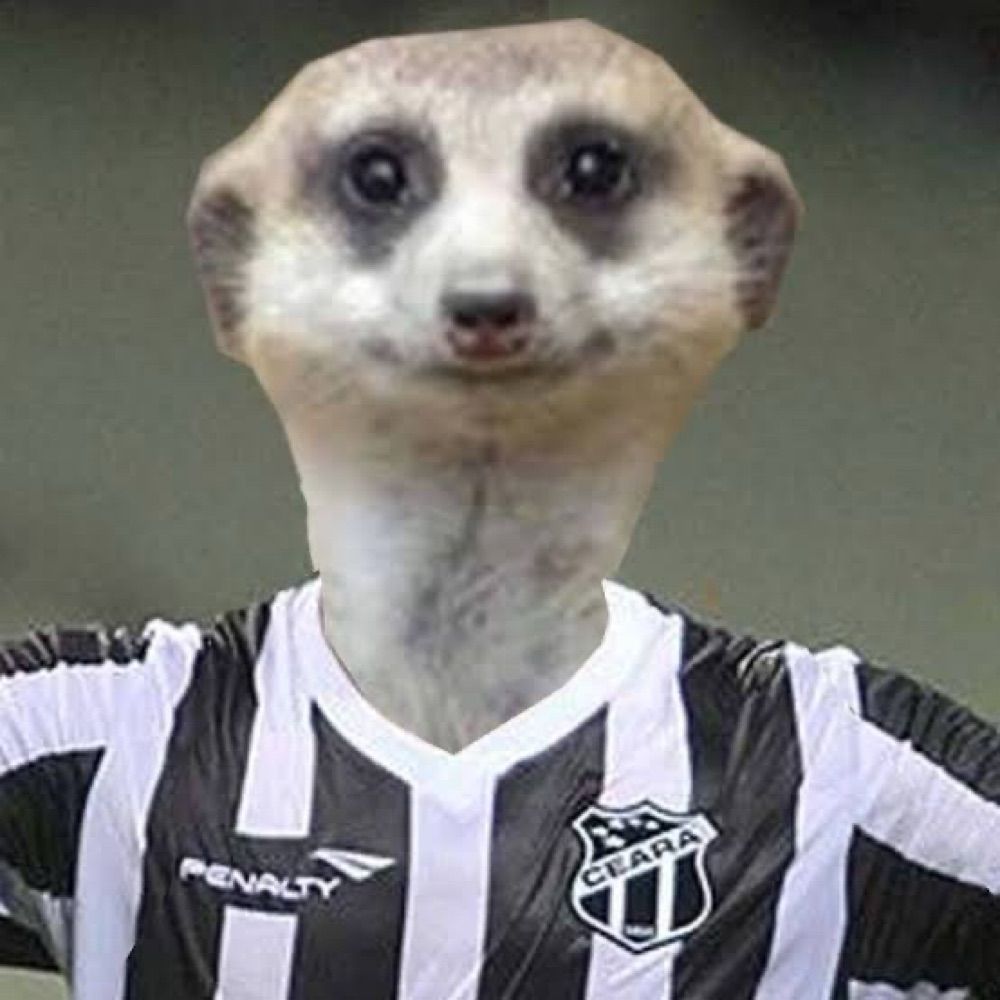 matheuso pix da silva jr. 