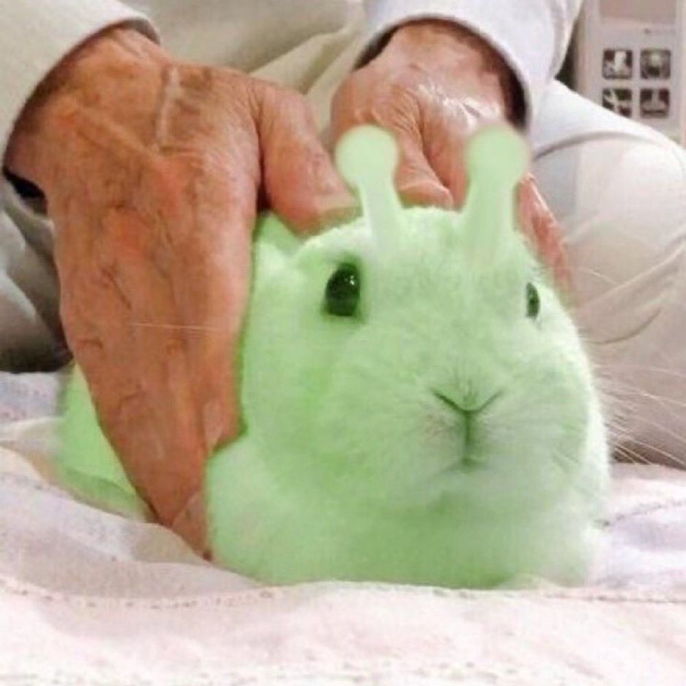 밷져