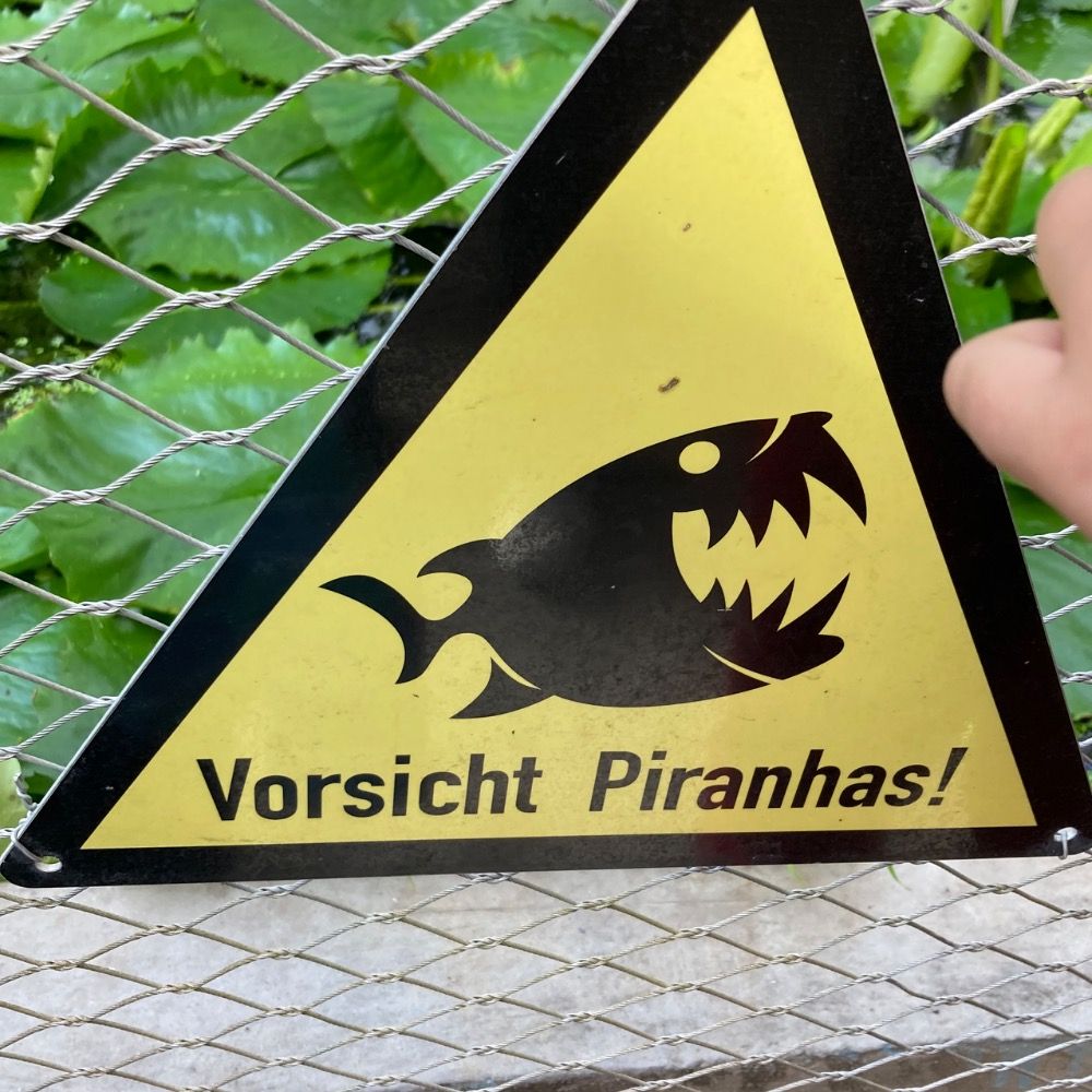 Frau Efeu