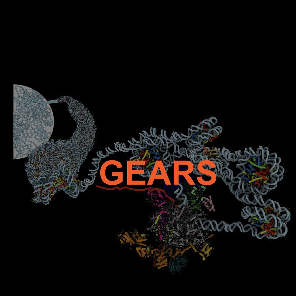 GEARs