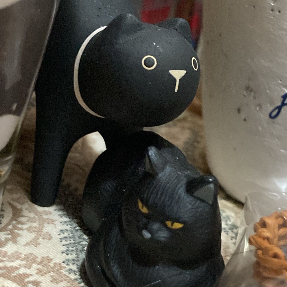 黒猫
