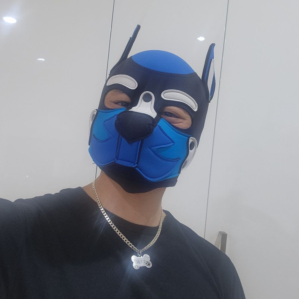 Pup Jett