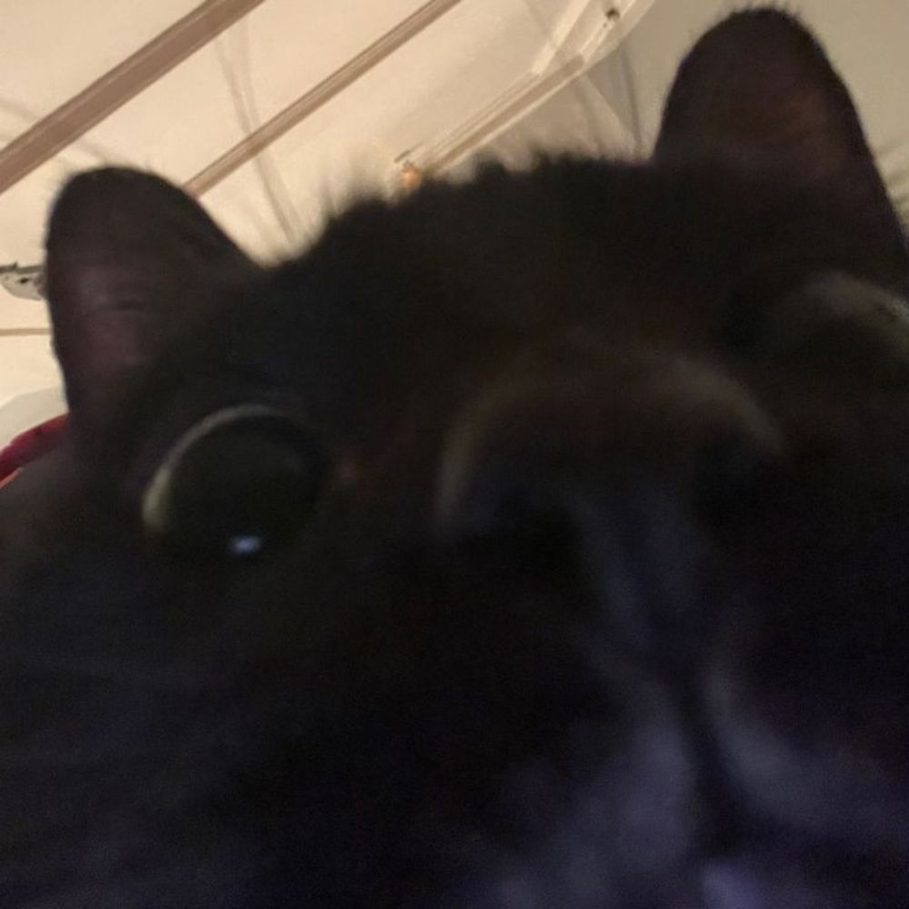 K.