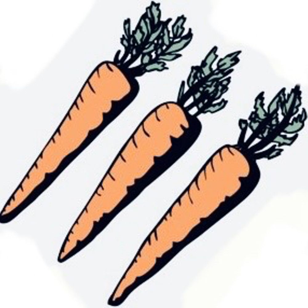 🥕🥕🥕