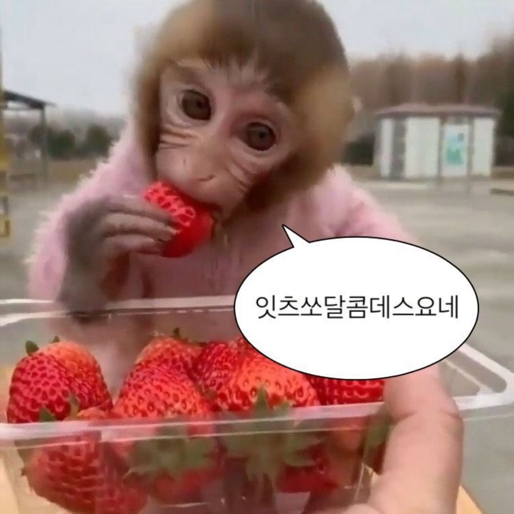 벙유