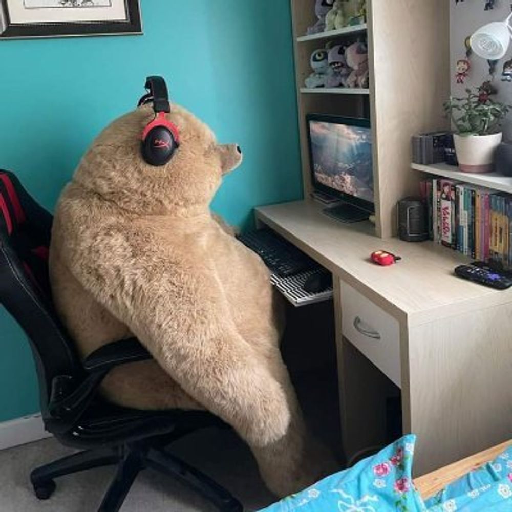 Shy Drawing Bear