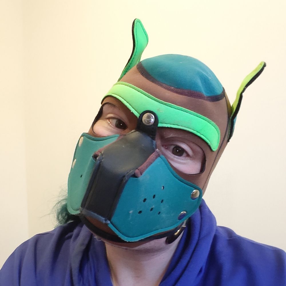 Pup Squishy